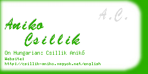 aniko csillik business card